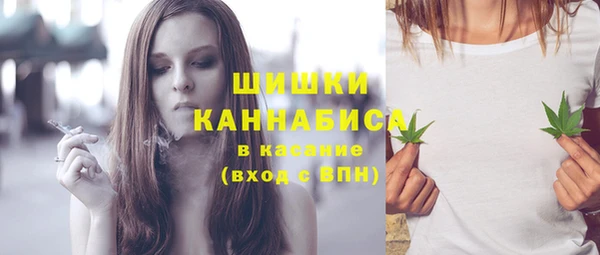 сатива Белокуриха