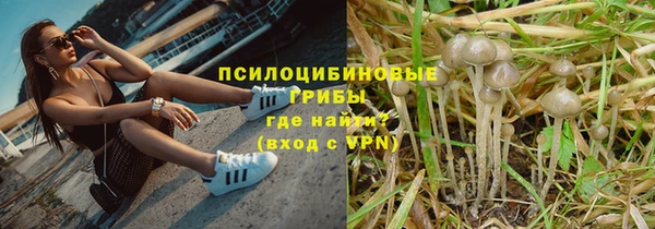 индика Балахна