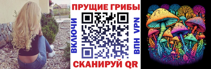 Купить закладки  Елец  Псилоцибиновые грибы Cubensis 